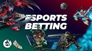 344bet