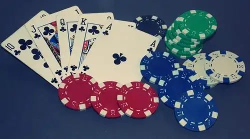344bet