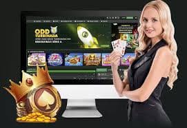 344bet
